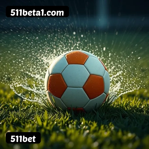 Requisitos do APK da 511bet para Android